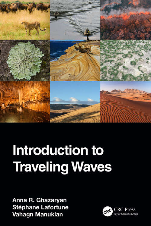 Book cover of Introduction to Traveling Waves