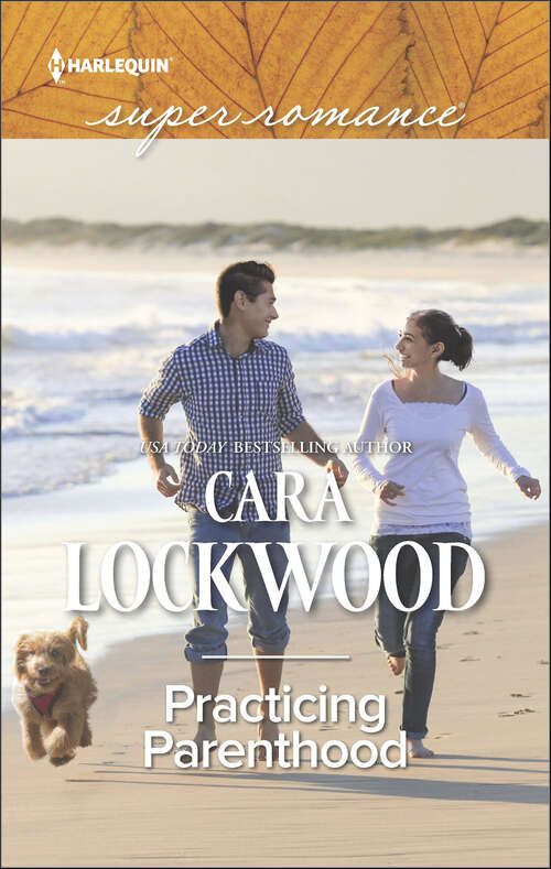 Book cover of Practicing Parenthood: In A Heartbeat Her Mountain Sanctuary Practicing Parenthood The Soldier's Homecoming (Harlequin Super Romance Ser.: Vol. 2126)