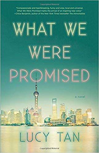 Book cover of What We Were Promised