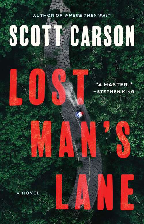 Book cover of Lost Man's Lane: A Novel