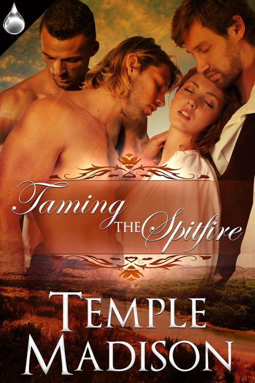 Book cover of Taming the Spitfire