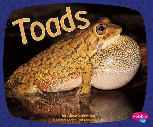 Book cover of Toads (Amphibians Ser.)