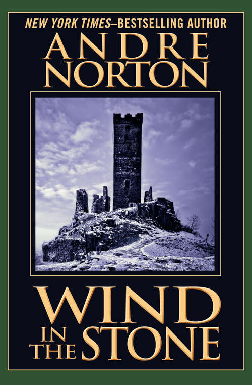 Book cover of Wind in the Stone: The Five Senses Set (The Five Senses Set #2)