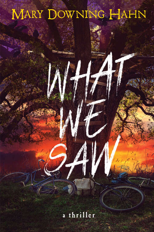 Book cover of What We Saw: A Thriller