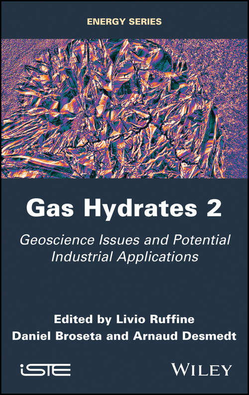 Book cover of Gas Hydrates 2: Geoscience Issues and Potential Industrial Applications