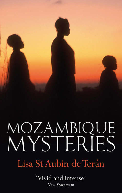 Book cover of Mozambique Mysteries