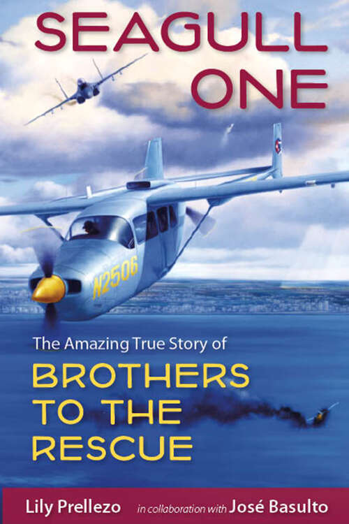 Book cover of Seagull One: The Amazing True Story of Brothers to the Rescue