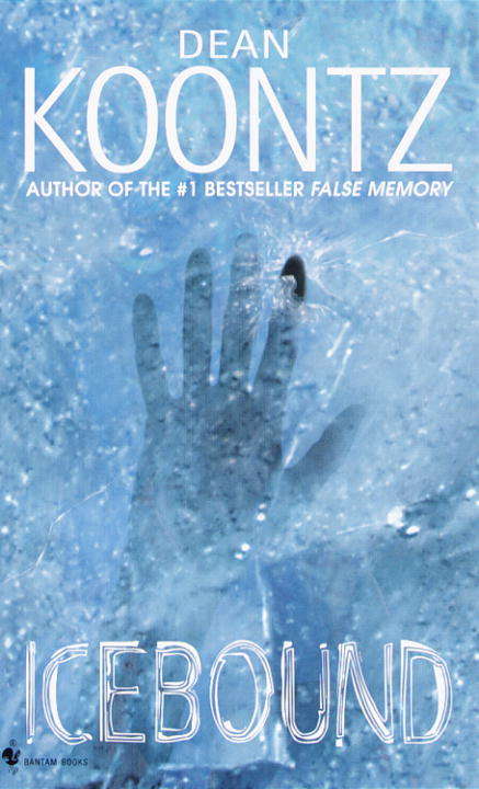 Book cover of Icebound: A Novel