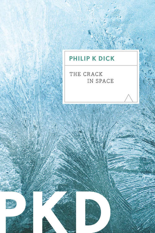 Book cover of The Crack in Space: A Novel