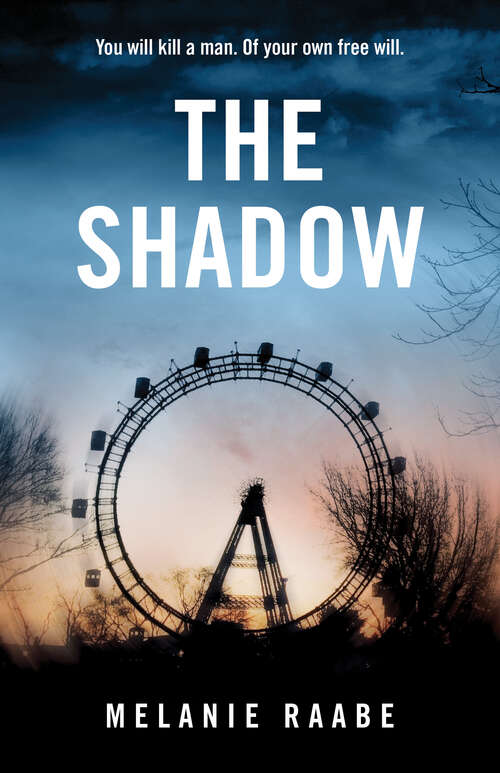 Book cover of The Shadow