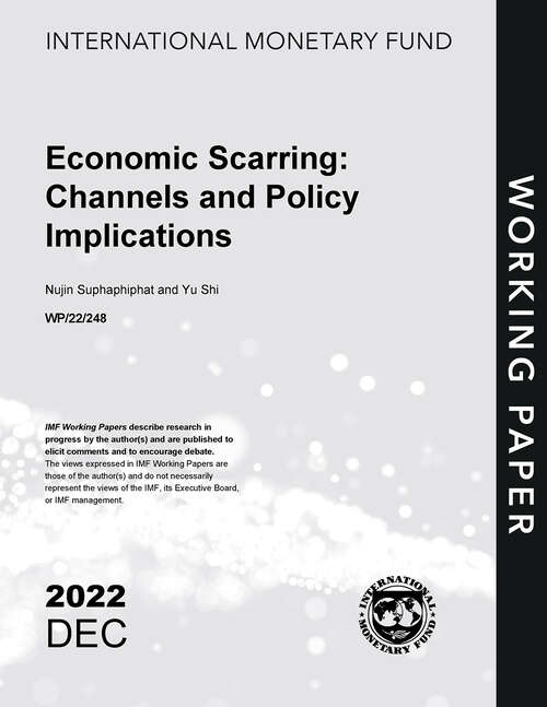 Book cover of Economic Scarring: Channels and Policy Implications (Imf Working Papers)