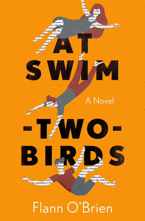 Book cover of At Swim-Two-Birds: A Novel (3) (Penguin Modern Classics Ser.)