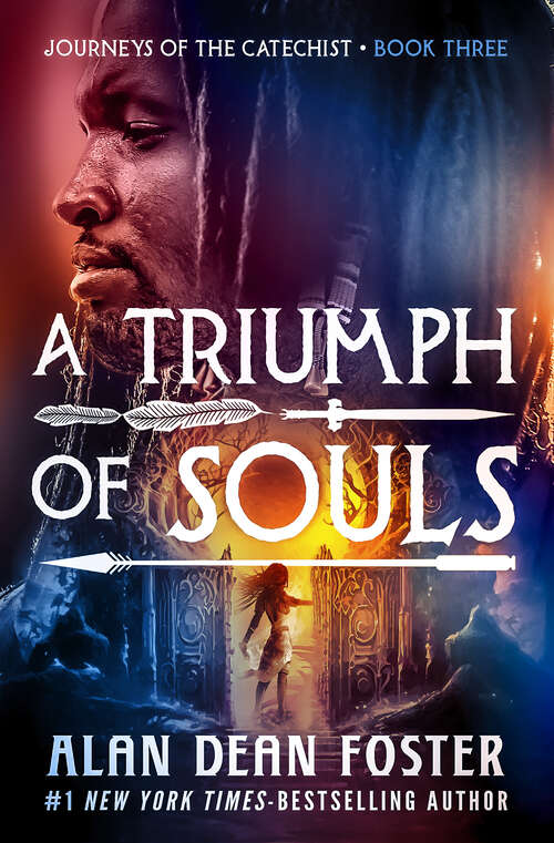 Book cover of A Triumph of Souls (Journeys of the Catechist)