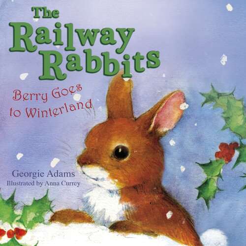 Book cover of Berry Goes to Winterland: Book 2 (Railway Rabbits #2)