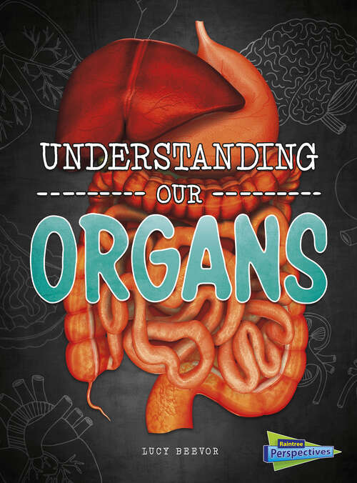 Book cover of Understanding Our Organs (Brains, Body, Bones! Ser.)