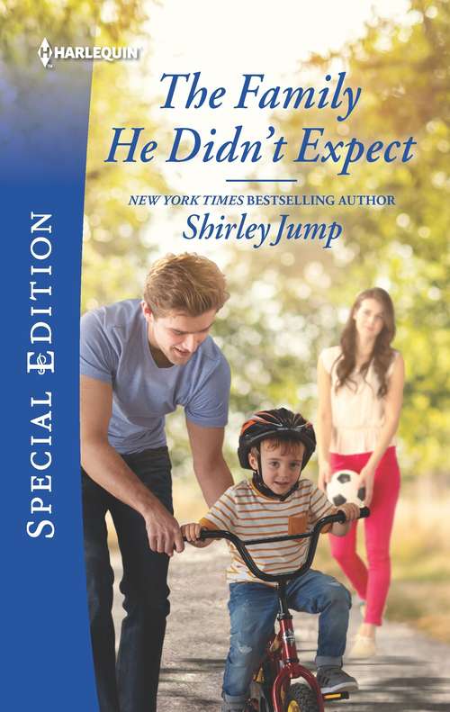 Book cover of The Family He Didn't Expect (Original) (The Stone Gap Inn)