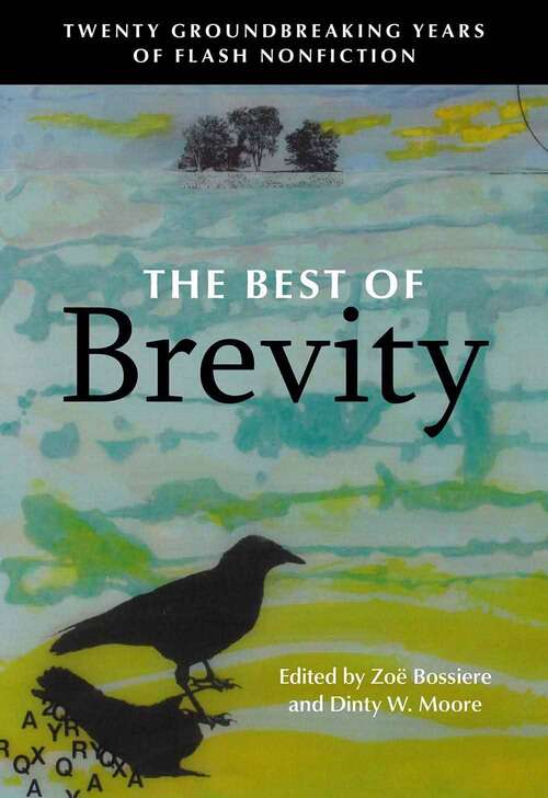 Book cover of The Best Of Brevity: Twenty Groundbreaking Years of Flash Nonfiction