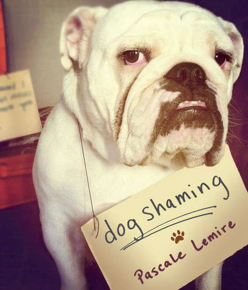 Book cover of Dog Shaming