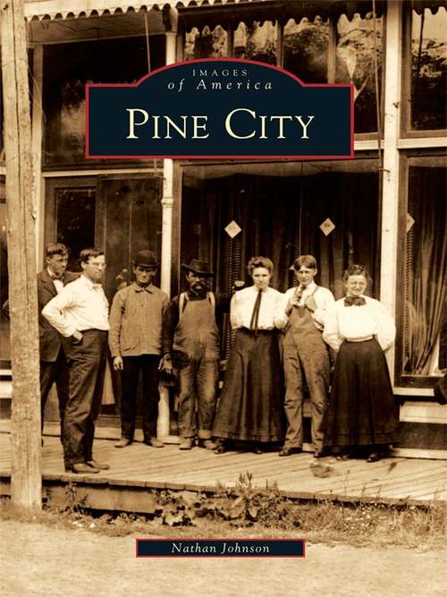 Book cover of Pine City