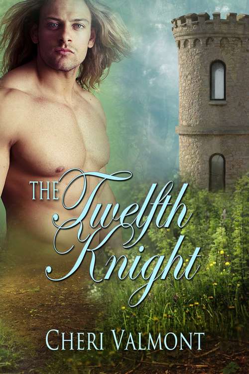 Book cover of The Twelfth Knight
