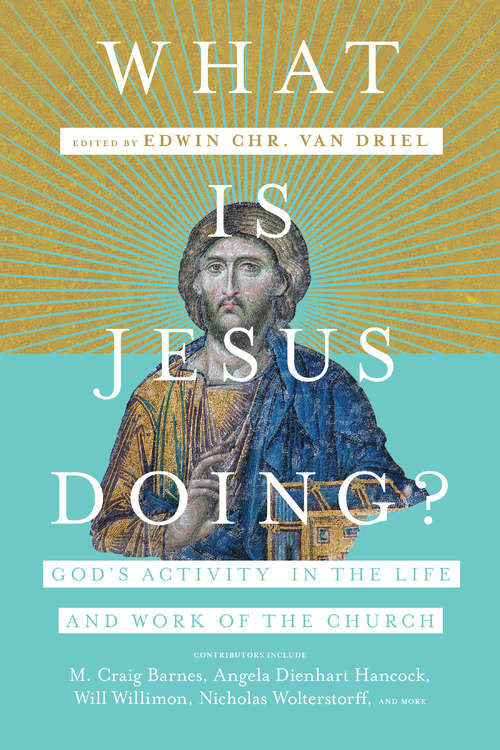 Book cover of What Is Jesus Doing?: God's Activity in the Life and Work of the Church