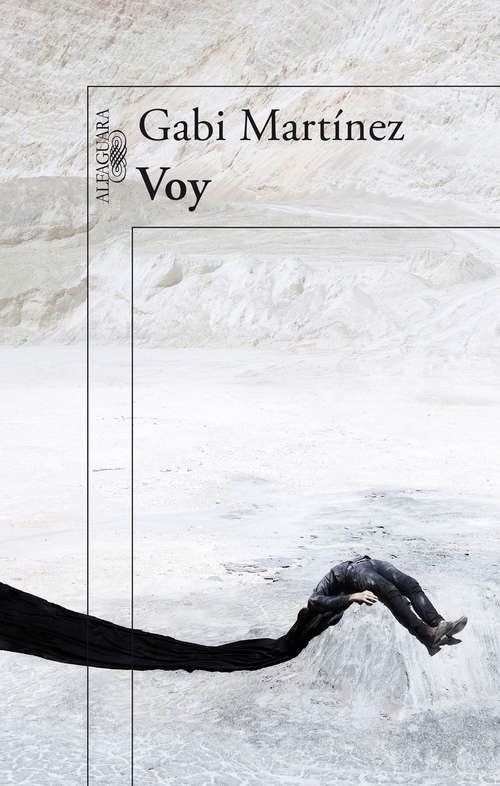 Book cover of Voy