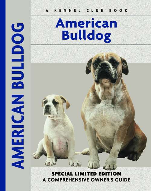 Book cover of American Bulldog