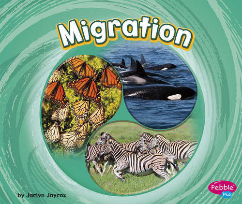 Book cover of Migration (Cycles of Nature)