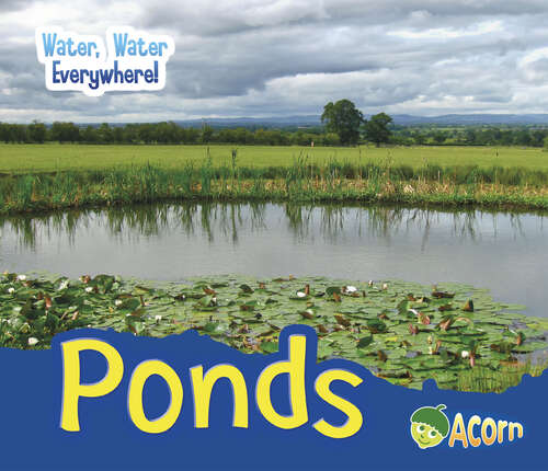 Book cover of Ponds (Water, Water Everywhere! Ser.)