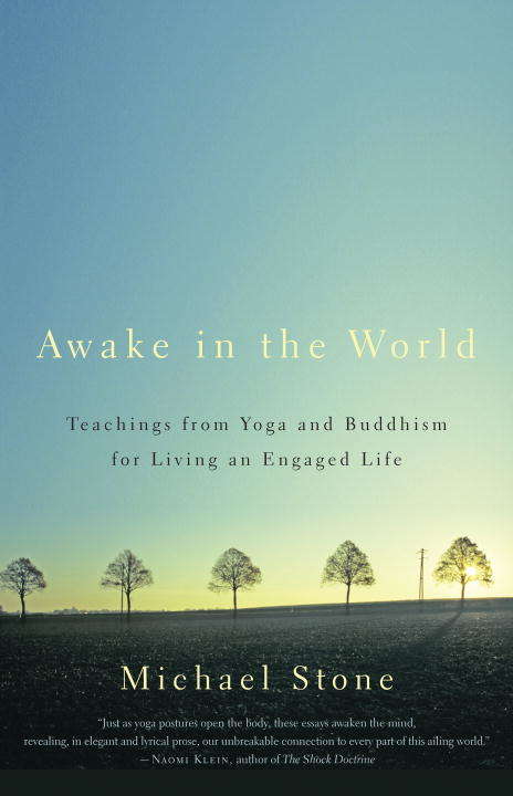 Book cover of Awake in the World: Teachings from Yoga and Buddhism for Living an Engaged Life