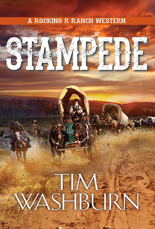 Book cover of Stampede (A Rocking R Ranch Western #3)