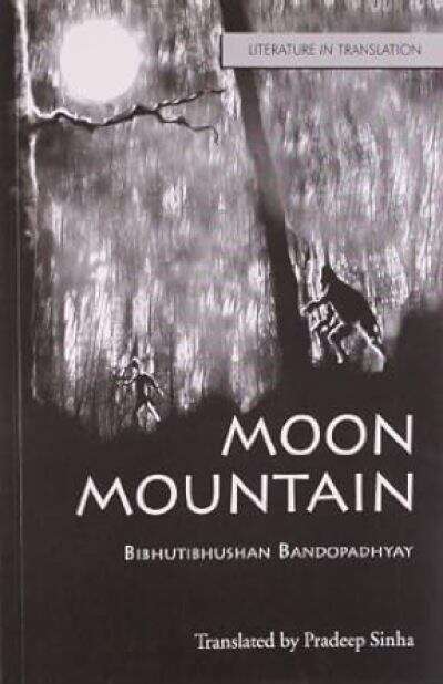 Book cover of Moon Mountain