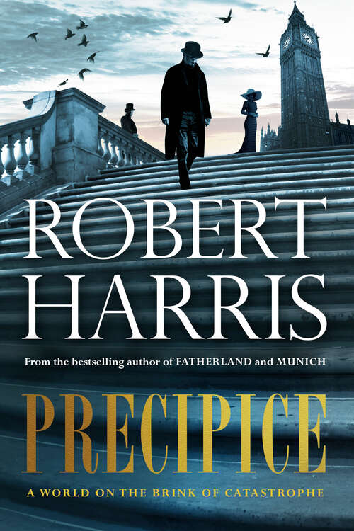 Book cover of Precipice