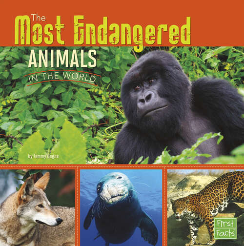 Book cover of The Most Endangered Animals in the World (All About Animals Ser.)