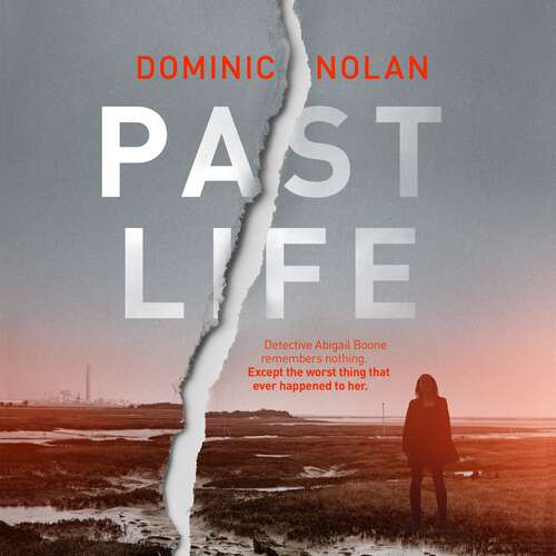 Book cover of Past Life: an 'astonishing' and 'gripping' crime thriller