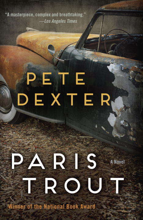Book cover of Paris Trout: A Novel