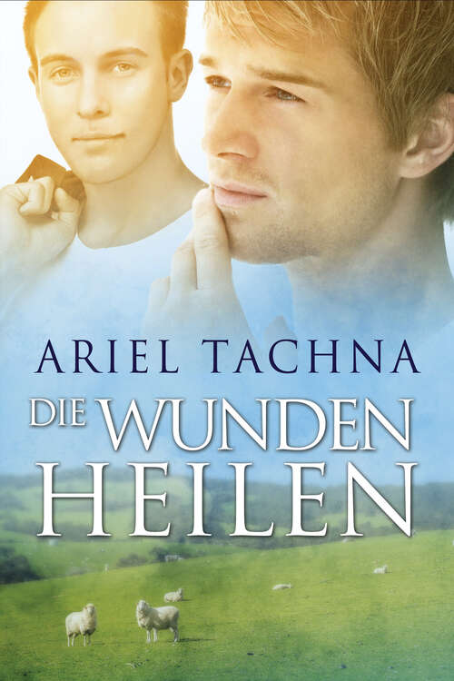 Book cover of Die Wunden heilen (Lang Downs (Deutsch))