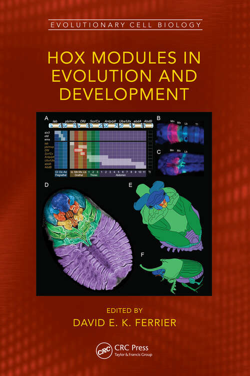 Book cover of Hox Modules in Evolution and Development (Evolutionary Cell Biology)