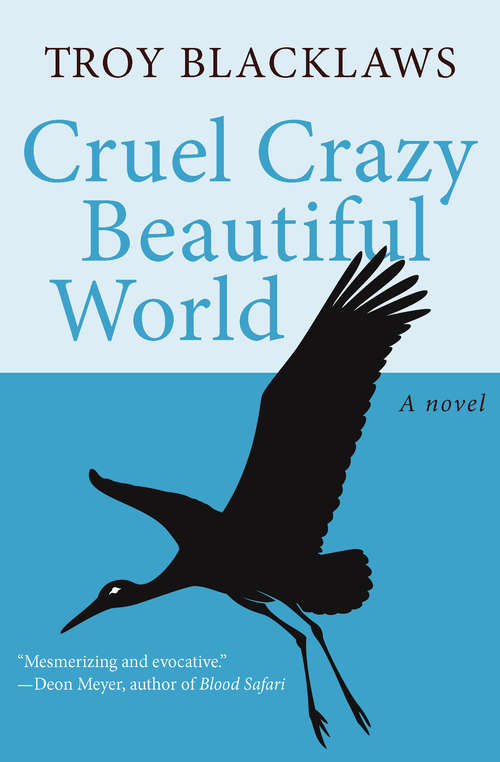 Book cover of Cruel Crazy Beautiful World: A Novel