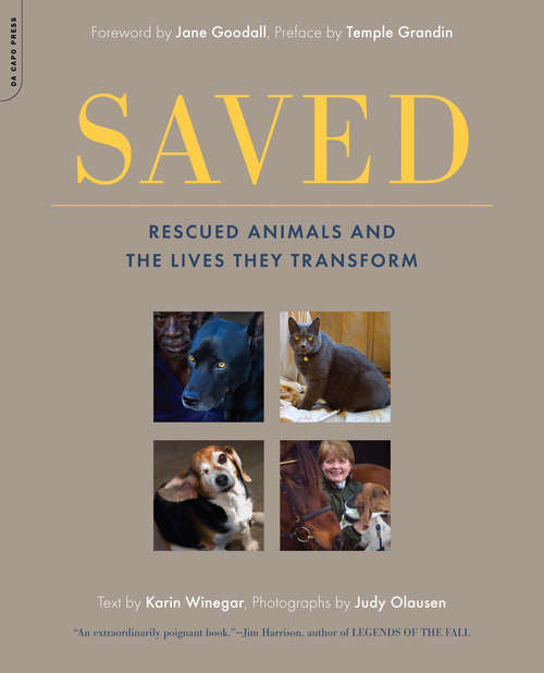 Book cover of Saved: Rescued Animals and the Lives They Transform