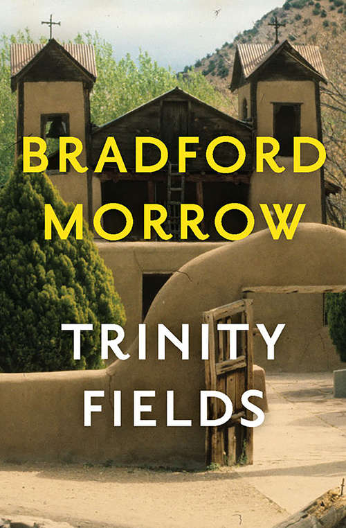 Book cover of Trinity Fields