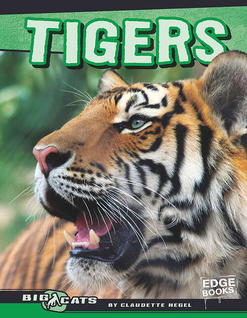 Book cover of Tigers (Big Cats Ser.)