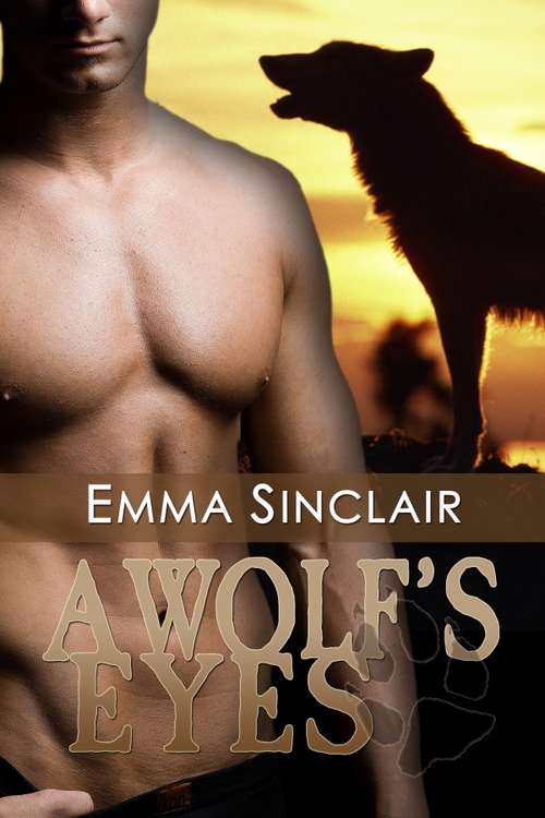 Book cover of A Wolf's Eyes