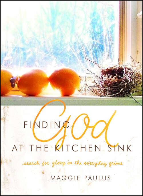 Book cover of Finding God at the Kitchen Sink: Search for Glory in the Everyday Grime (New Edition)