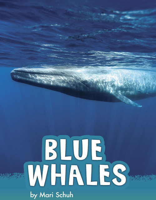 Book cover of Blue Whales (Animals)