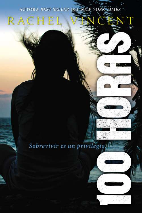 Book cover of 100 Horas