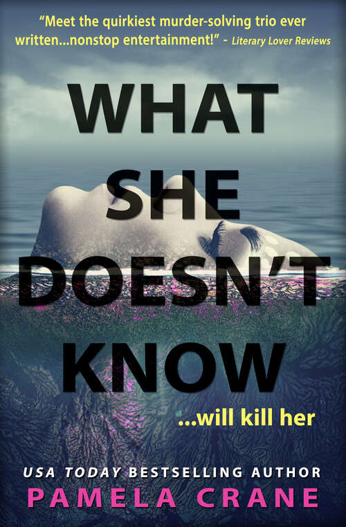 Book cover of What She Doesn't Know (If Only She Knew Mystery Series #4)