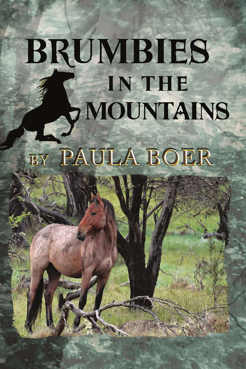 Book cover of Brumbies in the Mountains (Brumbies #5)