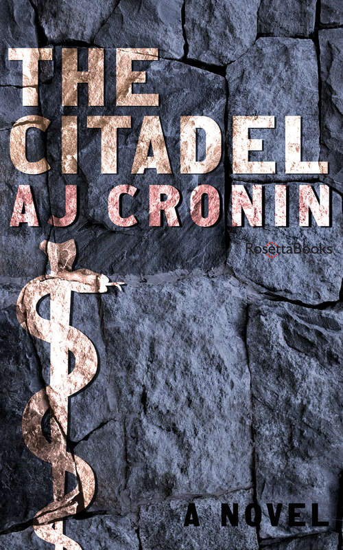 Book cover of The Citadel: A Novel (Longman Fiction Ser.)