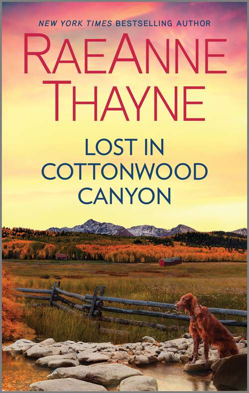 Book cover of Lost in Cottonwood Canyon: A Heartfelt Romance Novel (Reissue) (The Searchers #2)